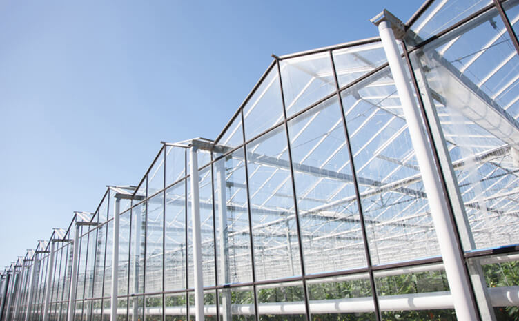 Agriculture Greenhouse